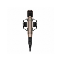 SENNHEISER MKH 800 TWIN