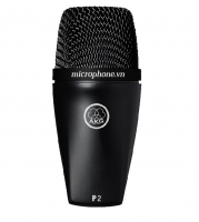 Micro AKG P2